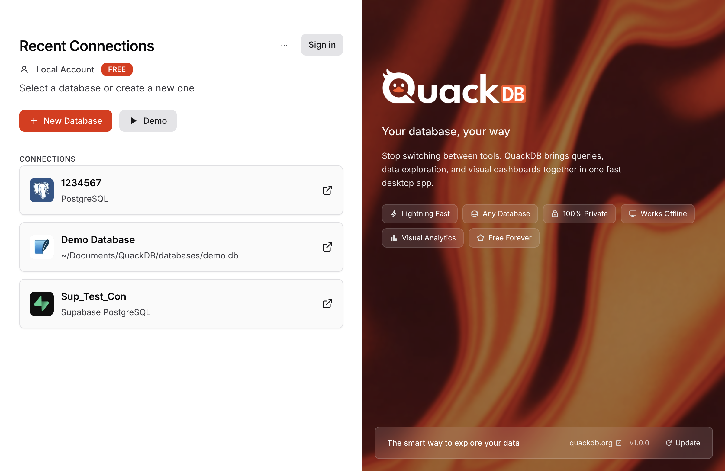 QuackDB Main Interface