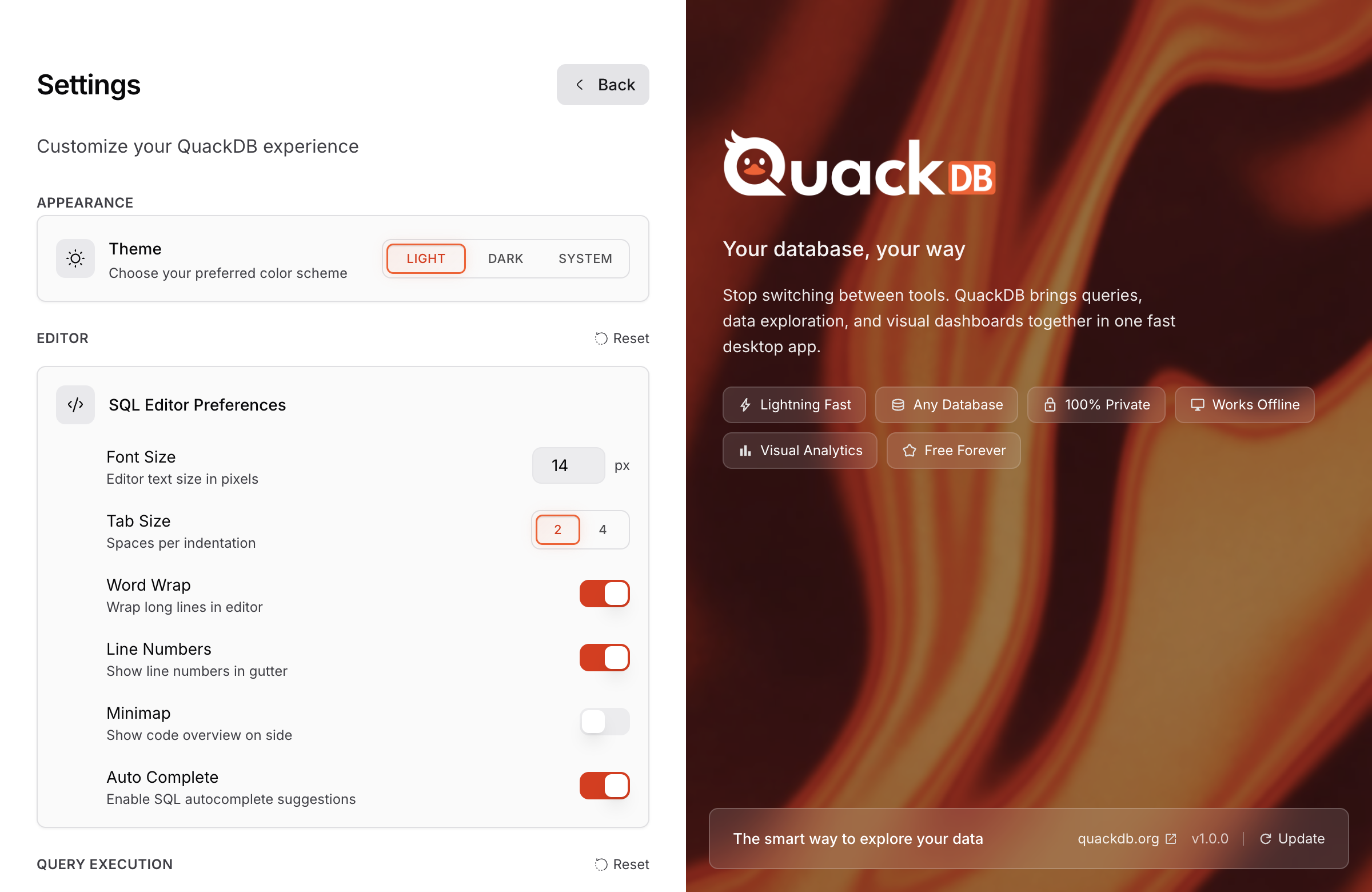 QuackDB Settings Panel