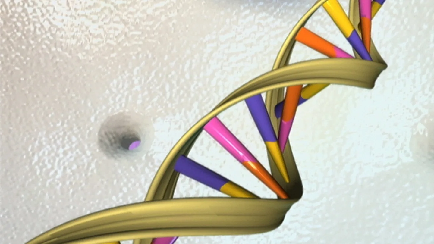A three-dimensional rendering of a DNA double helix
