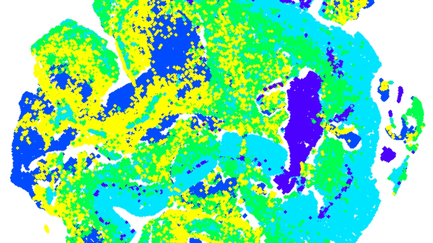 A t-SNE scatter plot in which thousands of colored points form clusters, a common way to picture embeddings